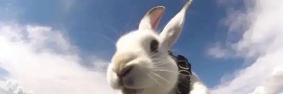 clancy🔜TFS banner