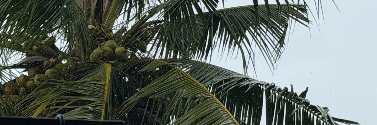 kraD3202's profile banner image