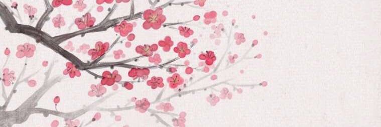 siesta05's profile banner image