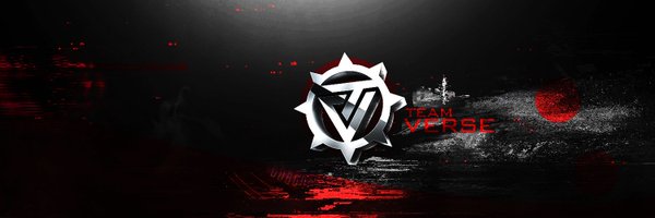Team_Verse_ Profile Banner