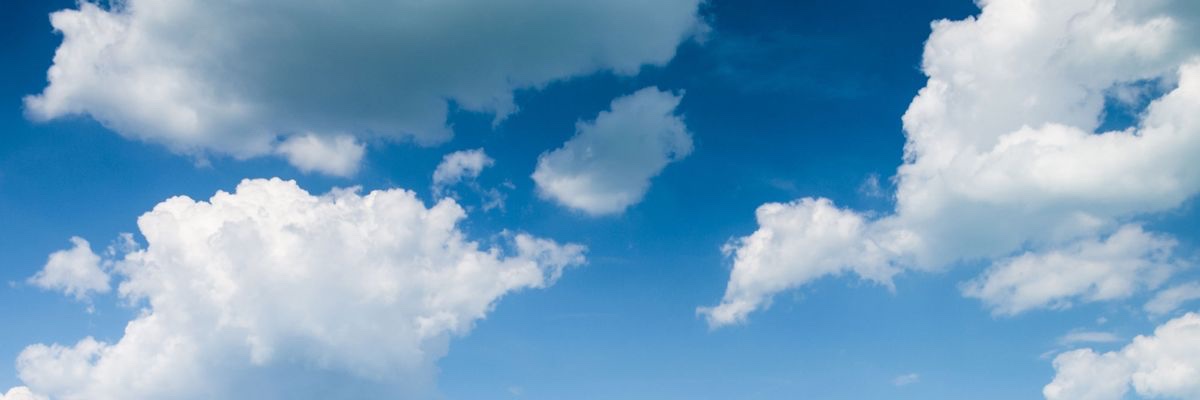 lavalark's profile banner image
