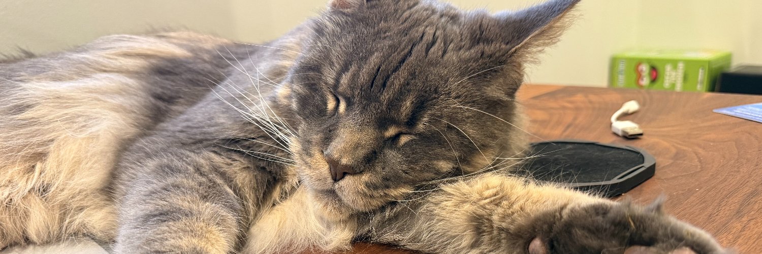 dieseltcat's profile banner image