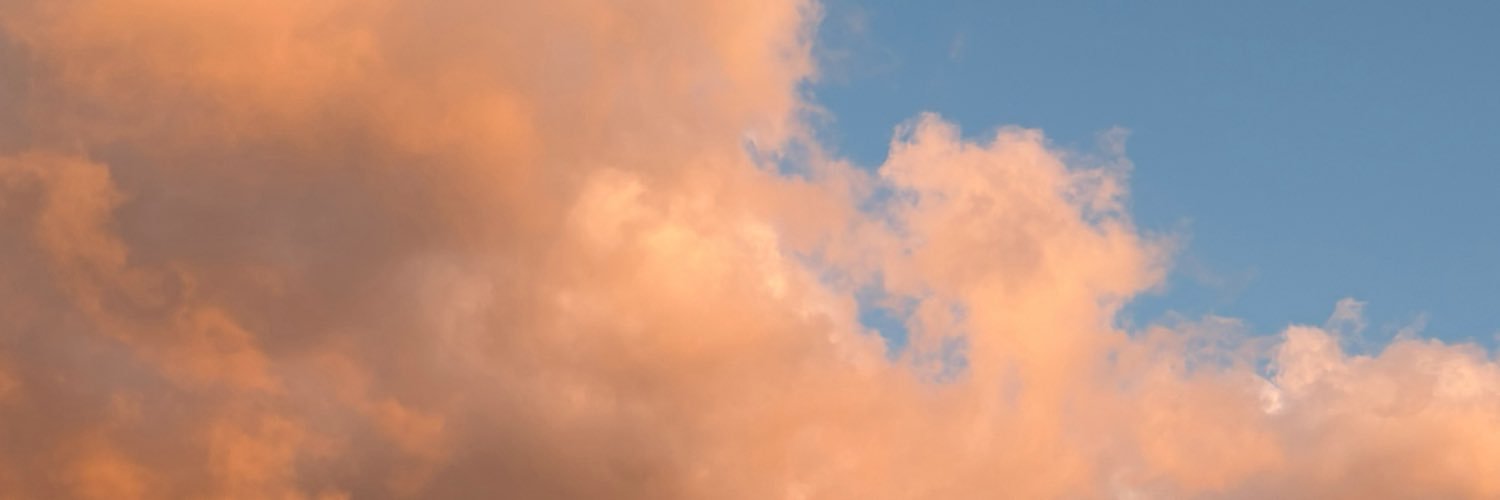 dream_bulka's profile banner image