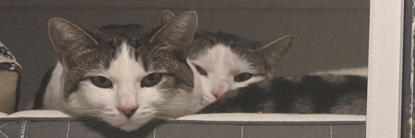 ShaKRobertson Profile Banner