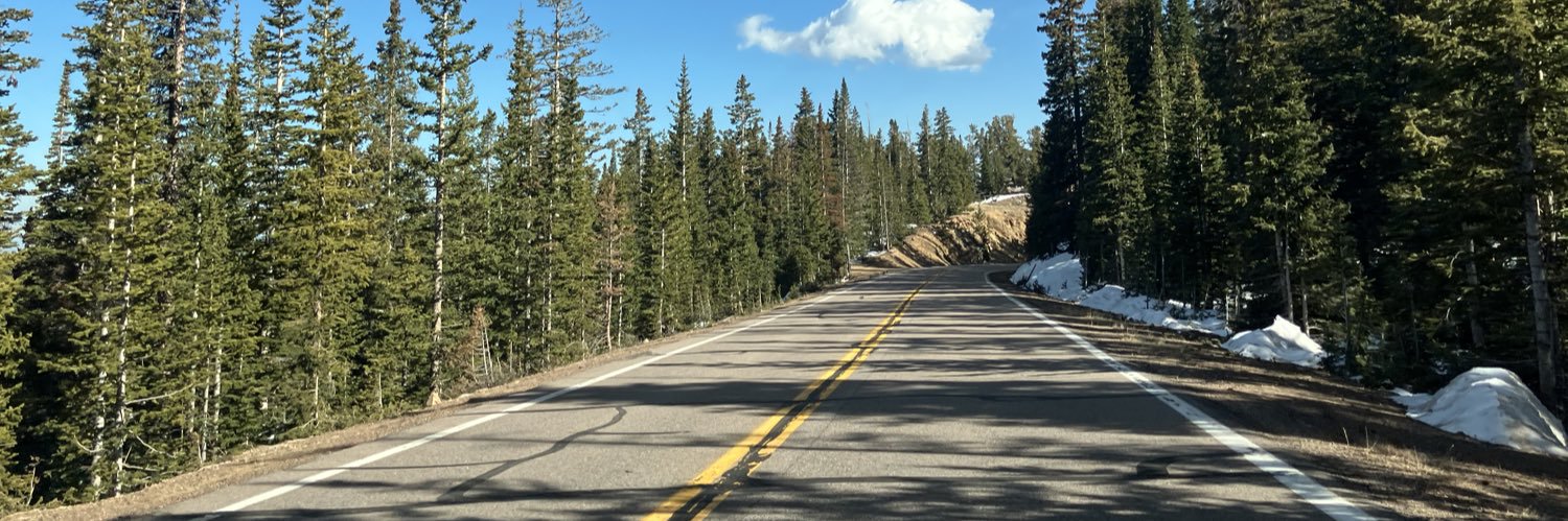 Brandi Hitchcock banner