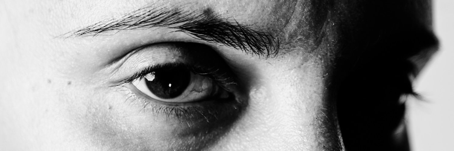 Phylumena's profile banner image