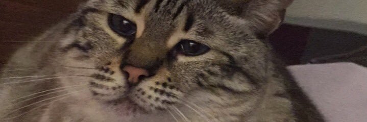 Richard Ziegler banner