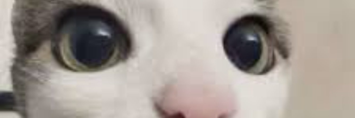 BigDunkey73 banner
