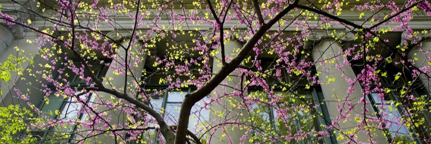 Elias Pavlopoulos banner