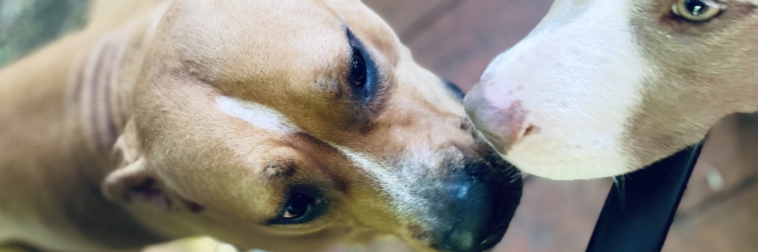 GabbbyMoe_2's profile banner image