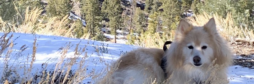 LilyDeLo's profile banner image