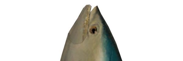 Computerprgram Profile Banner