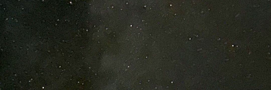 sofiaamut1's profile banner image