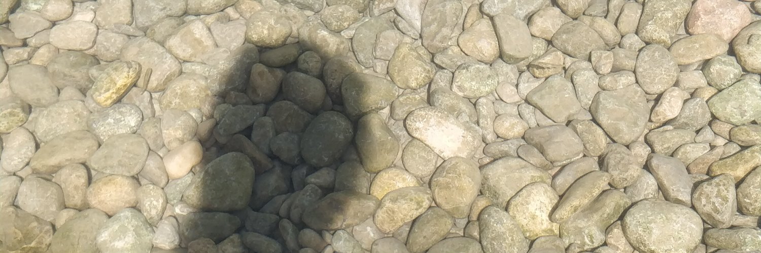 Verónica Escudero Quesada banner