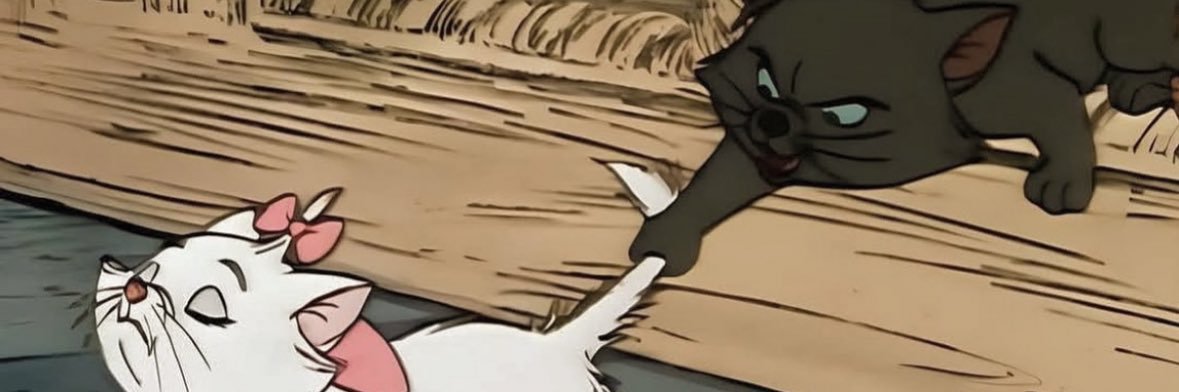 ttdadoutora's profile banner image