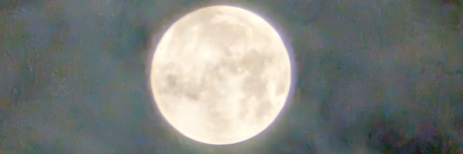 Exeggutor_oji's profile banner image