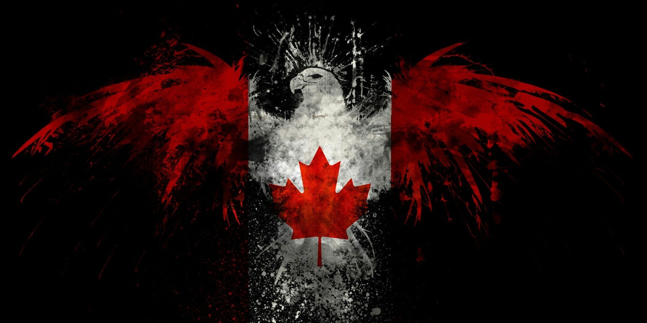 Pelts89's profile banner image