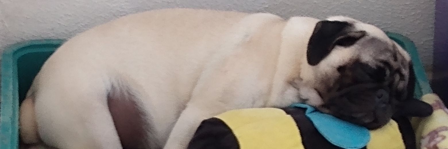 Coltro_Nikao's profile banner image