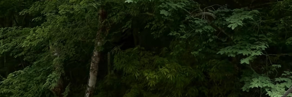 代行警察🚨@ブロスタ代行募集 banner