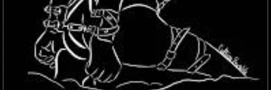 bellatrix_sub's profile banner image