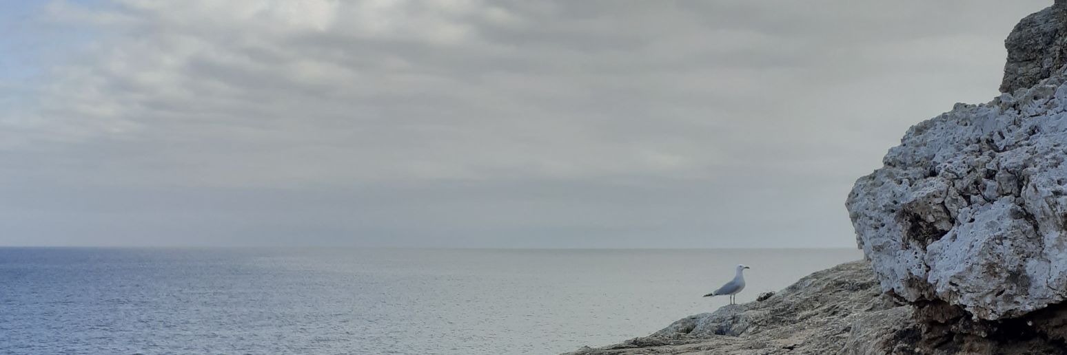 Edgardoo_9's profile banner image