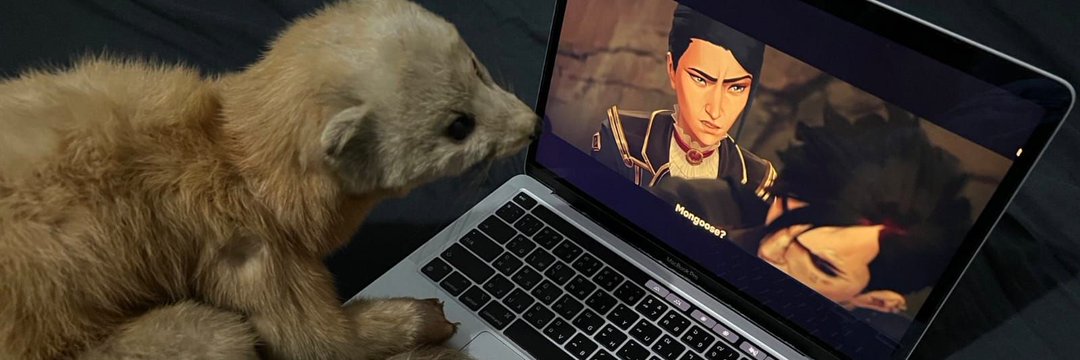 straps7cker2's profile banner image