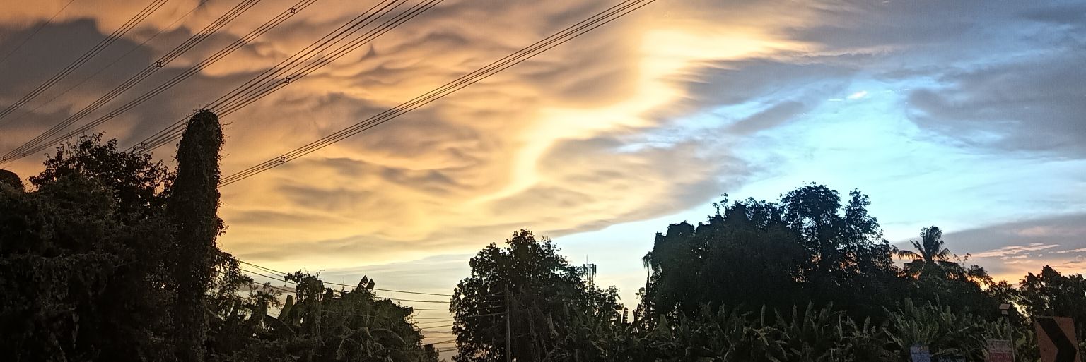 🐷ต้าวอ้วงง🐷 banner