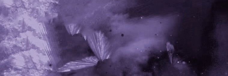 Alt's banner