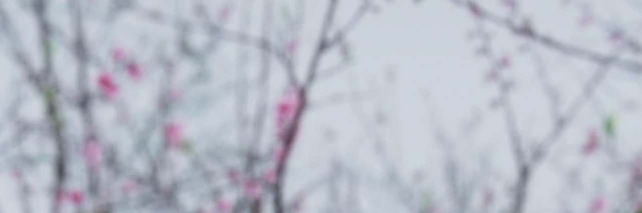 HMDoubleOB's profile banner image
