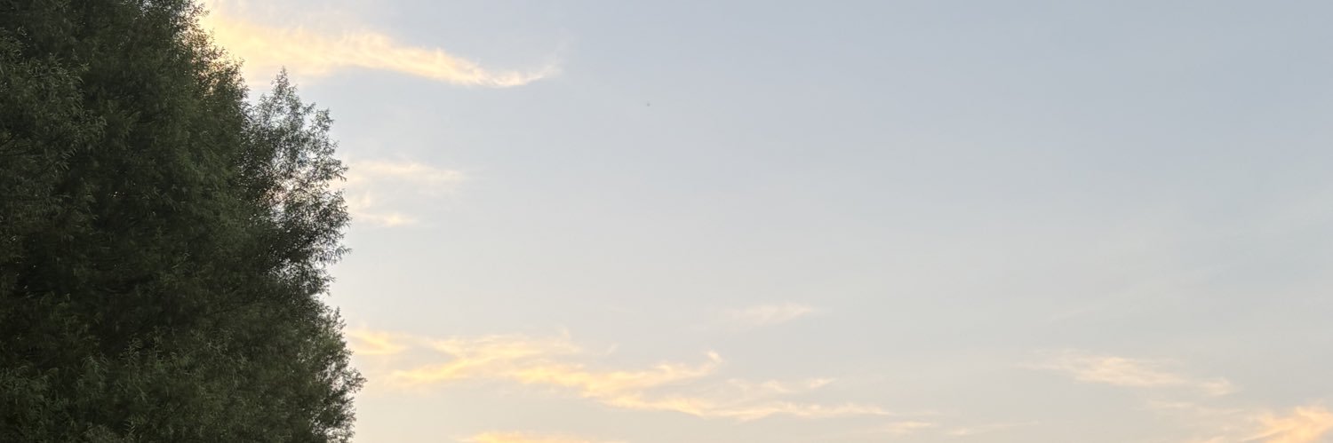 t banner