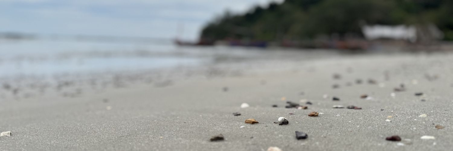 …SUNDAYS… banner