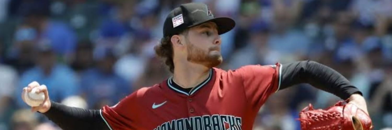 Diamondbacks Outsider banner