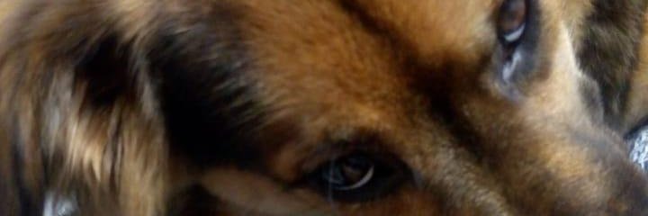 Gabrielacobos_'s profile banner image