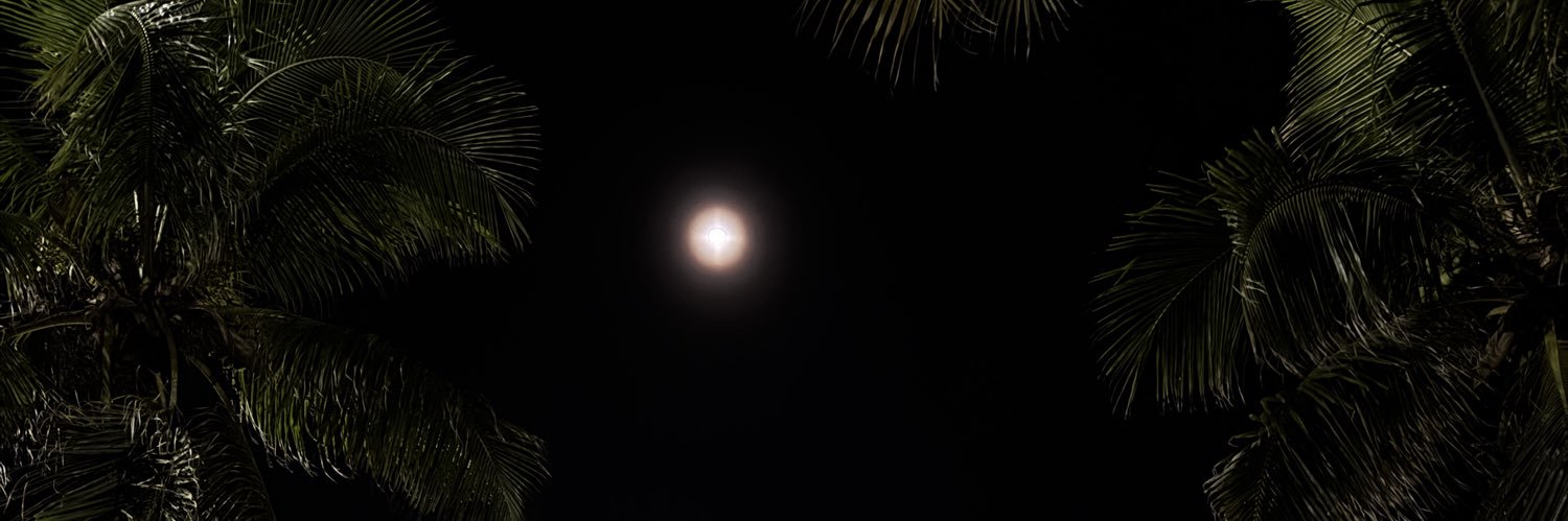 jjsntc's profile banner image