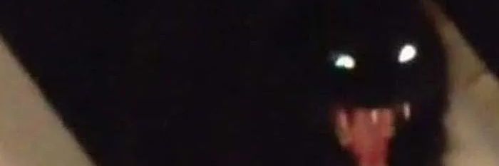 borninstability's profile banner image