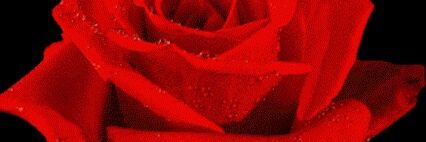 LS_IA_GarrettR's profile banner image