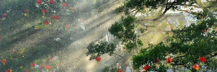 mingyudelight's profile banner image