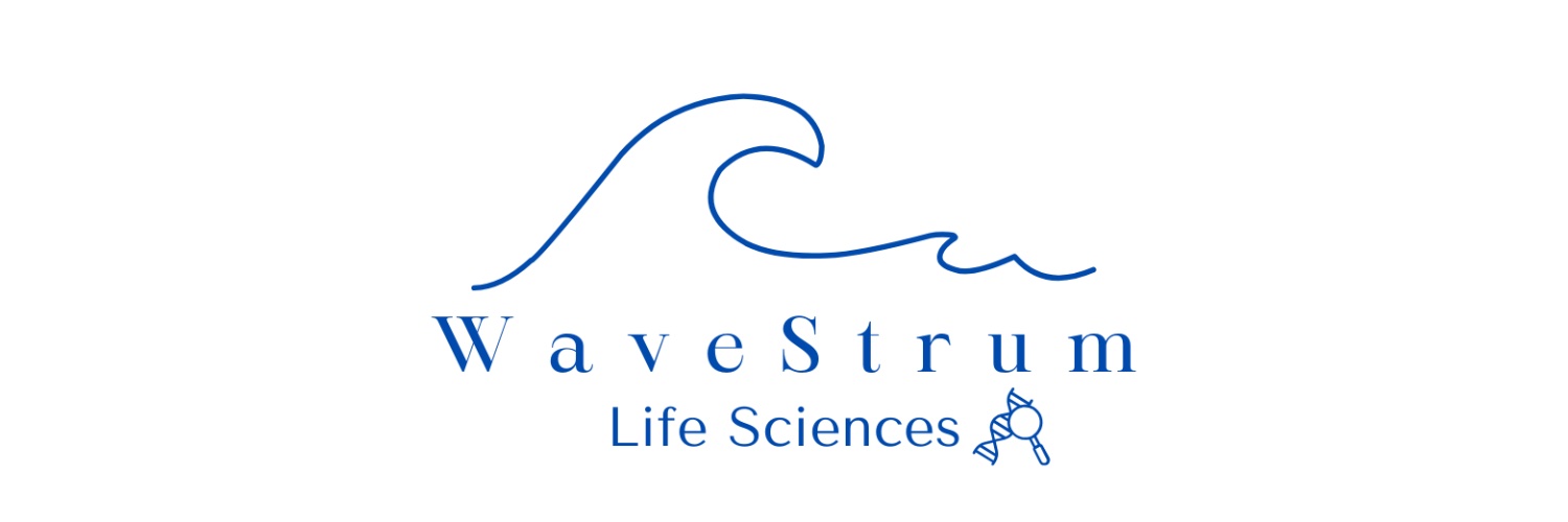 WaveStrumLS's profile banner image