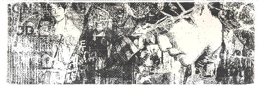 mngxod's profile banner image