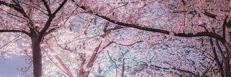arayoura's profile banner image