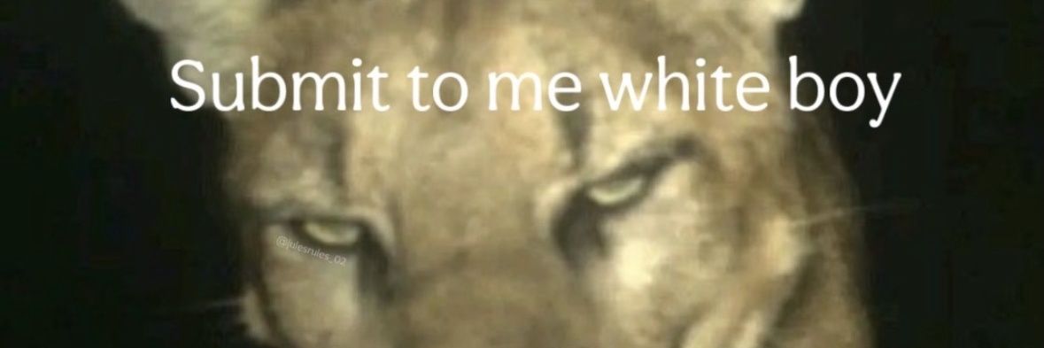 Ze_Alexander_'s profile banner image