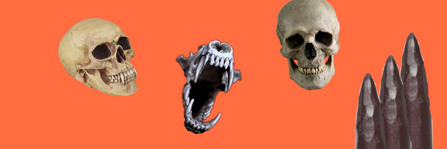 𝑩𝑳𝑶𝑶𝑫𝑺𝑻𝑶𝑵𝑬. banner