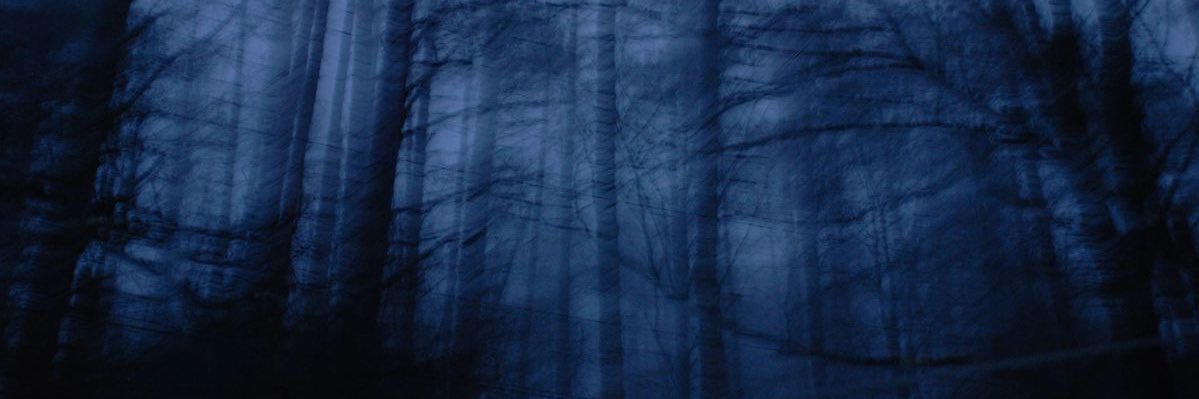 Beeskindacute's profile banner image