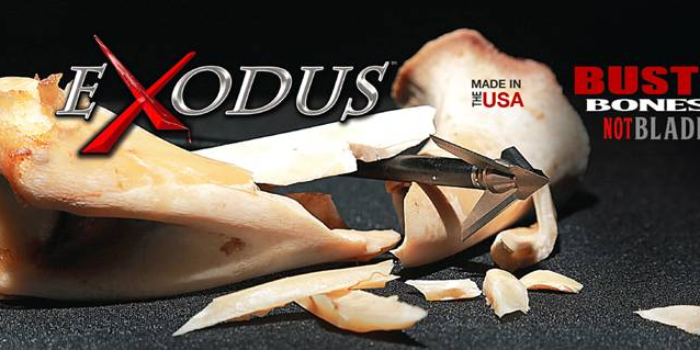 TeamQAD's profile banner image