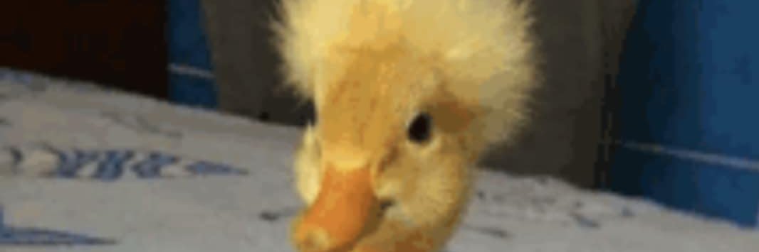 t0asttt's profile banner image
