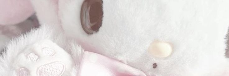 lllpuppyz's profile banner image