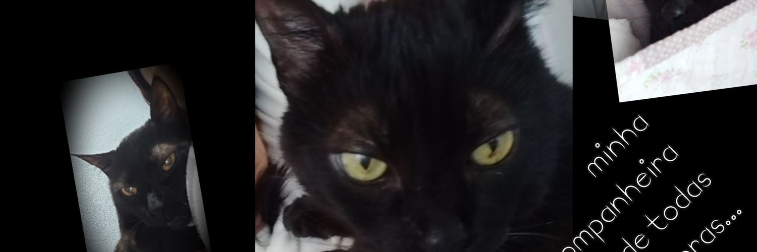 anakneib's profile banner image