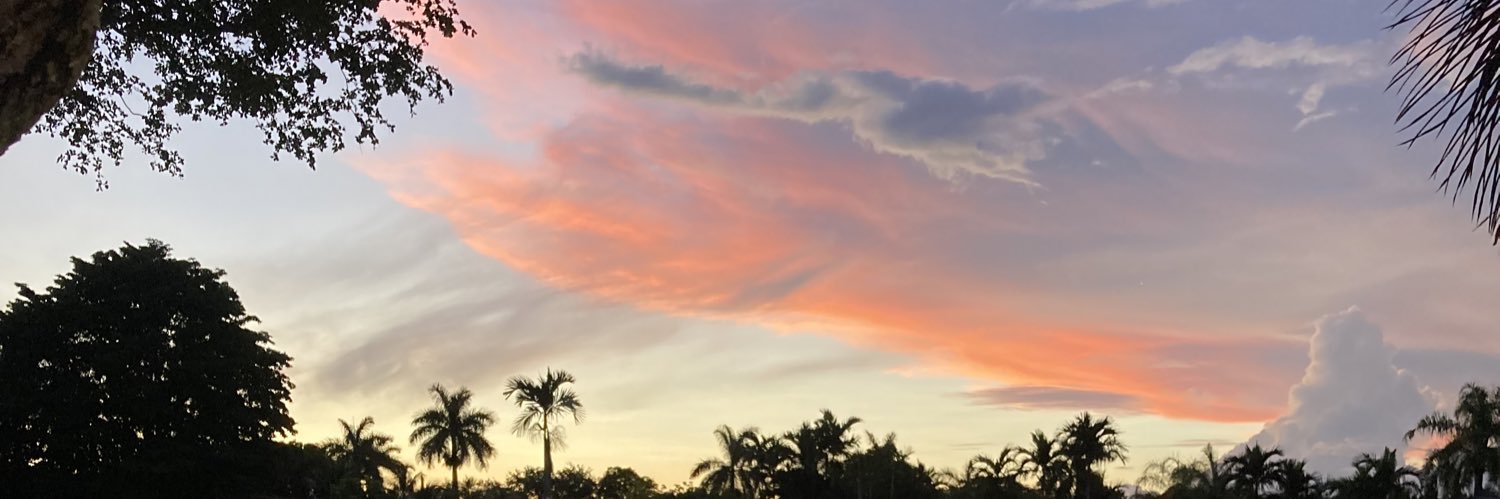 DotSLP's profile banner image
