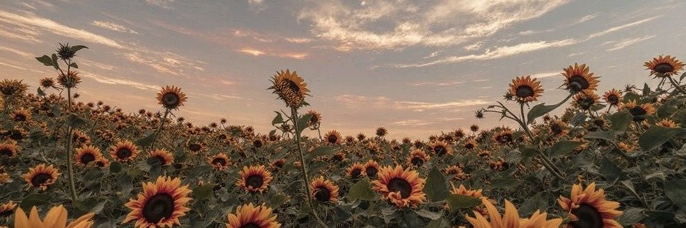 พฤษภา 🧸 banner