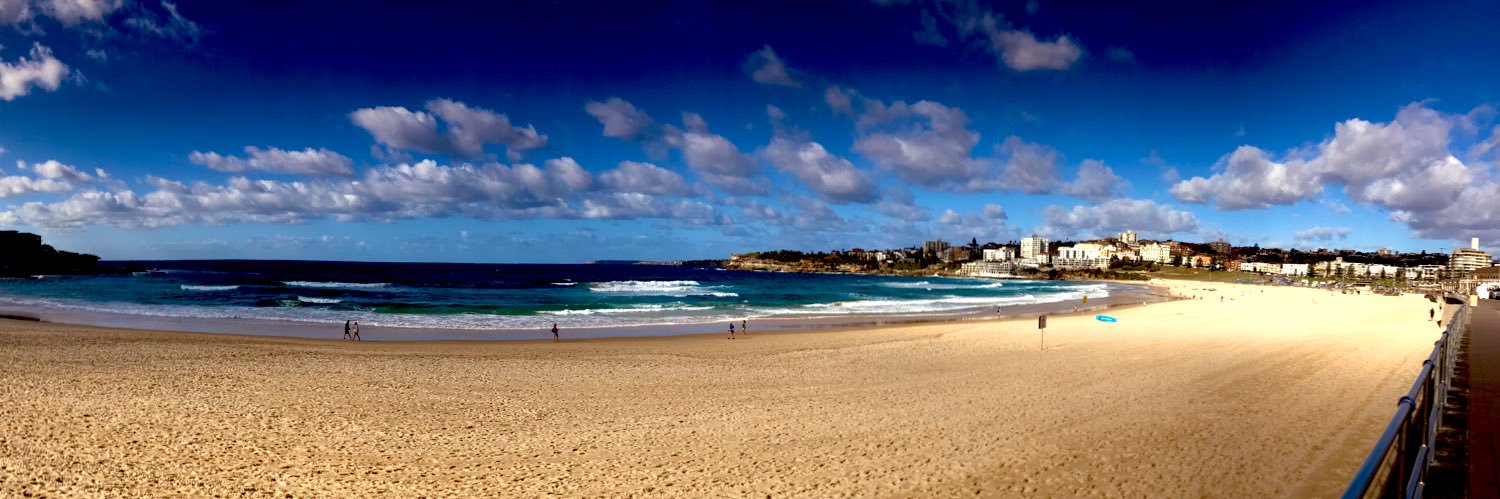 Mike Cavanaugh banner